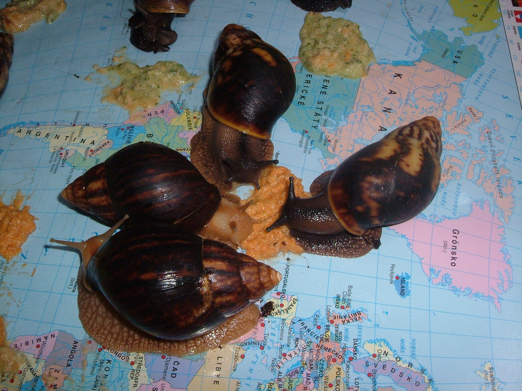 DSCF2156.JPG